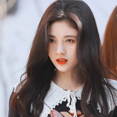 狮子王们的夏天