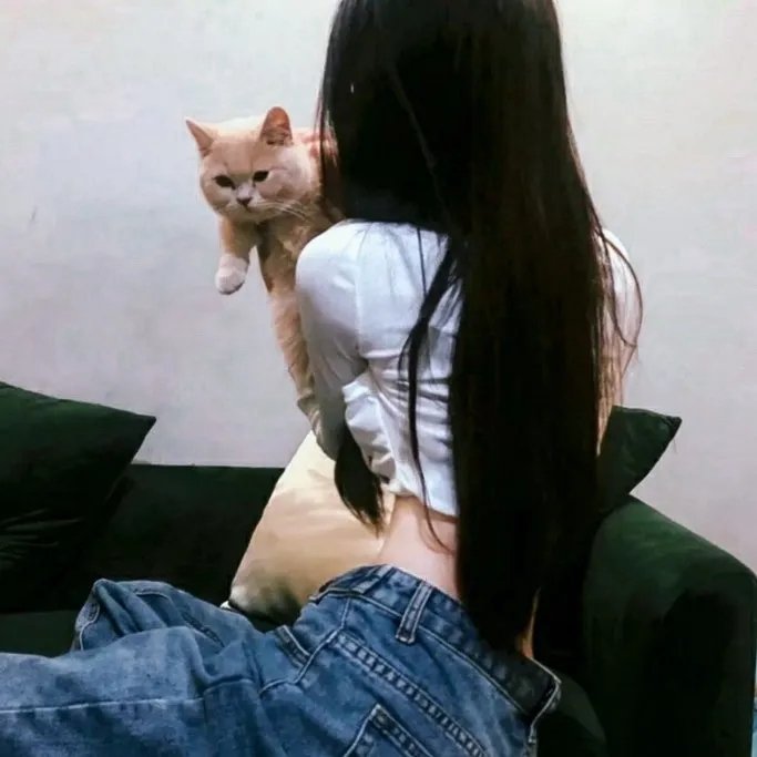 宠婚来袭第二季